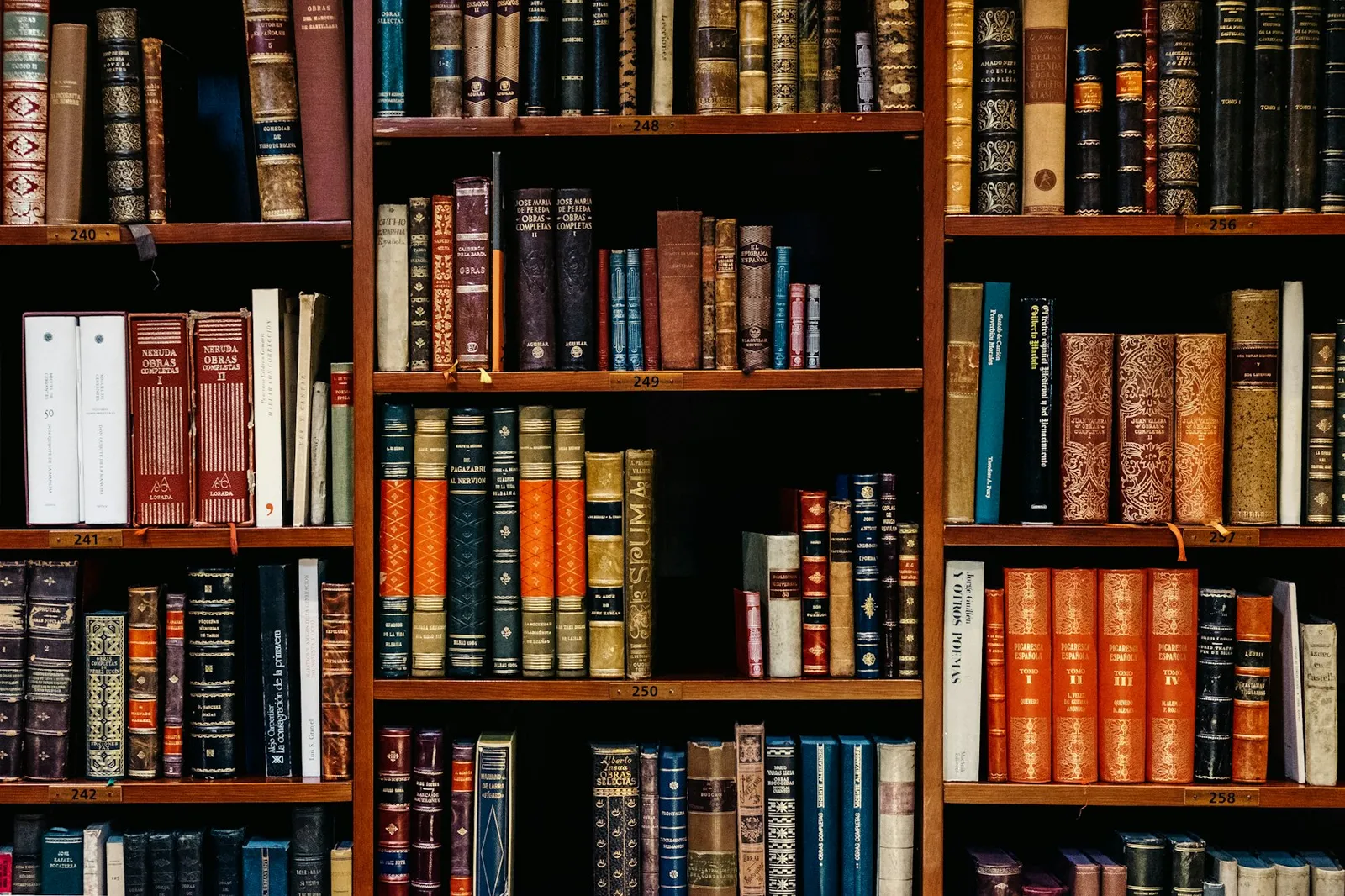 Wnętrze biblioteki prawniczej z książkami